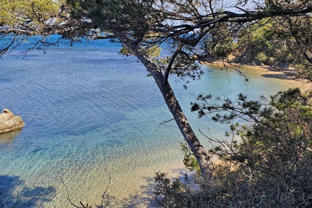 Appartement Dans Residence Avec Piscine La Londe-les-Maures Bagian luar foto