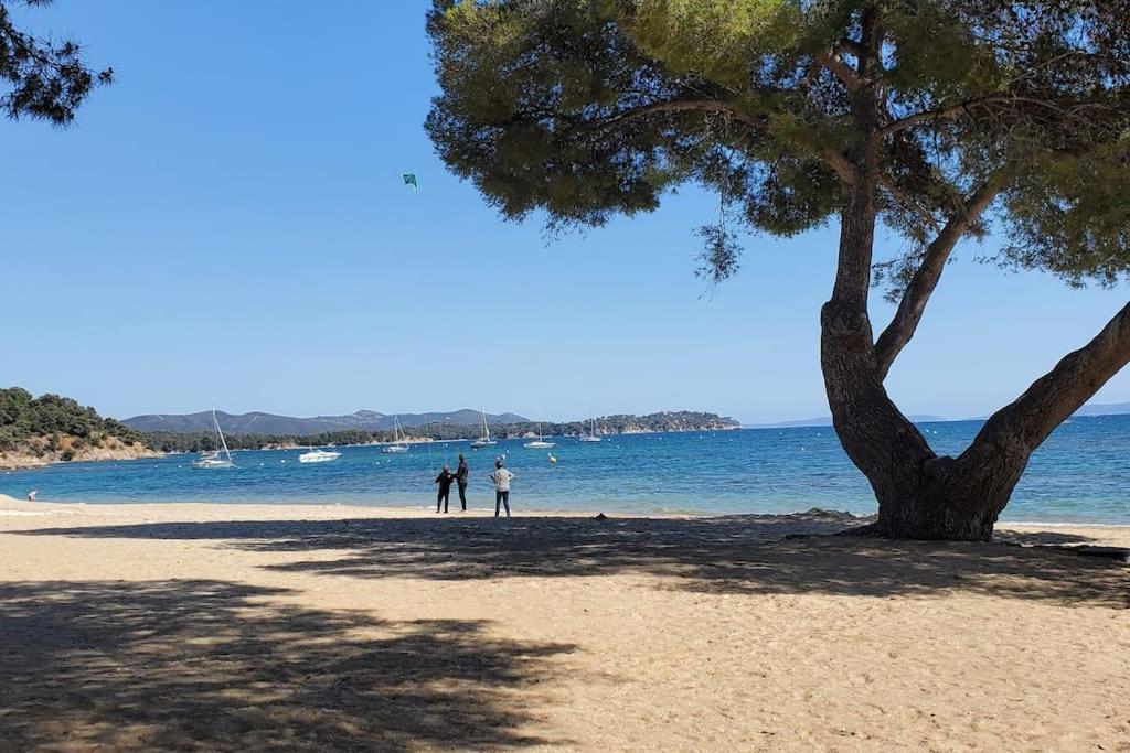 Appartement Dans Residence Avec Piscine La Londe-les-Maures Bagian luar foto